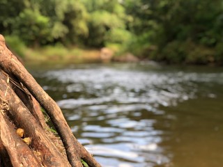 fast running river in the jungle with beautiful stones , clear water and tropical vegetation in Thailand in Phuket