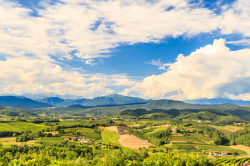 The beautiful vineyard of Collio, Friuli Venezia-Giulia, Italy