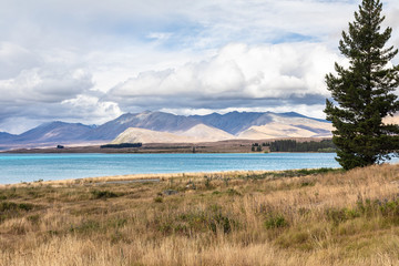 Lake Tekapo New Zealand