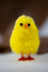 Easter Chick