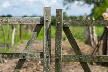 old wooden fence