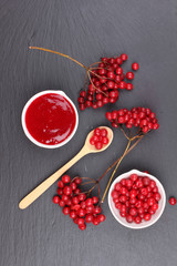 viburnum with juice, jam, tea on black background 