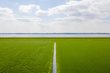 A small canal in a field with a large lake behind it in Almere, Netherlands, just outside of Amsterdam.
