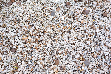 Stone in the garden