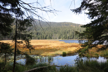 Großer Arbersee / Großer Arbersee /