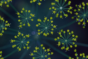 abstract floral background with flowers