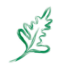 Vector designer leaf element on white background. Green forest art foliage natural herb in watercolor style. Decorative beauty elegant illustration for design