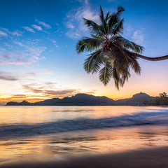 Fototapeta na wymiar Urlaub auf einer tropischen Insel 