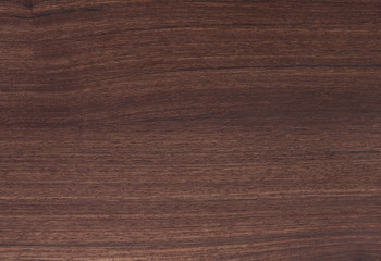 pattern detail of teak wood texture