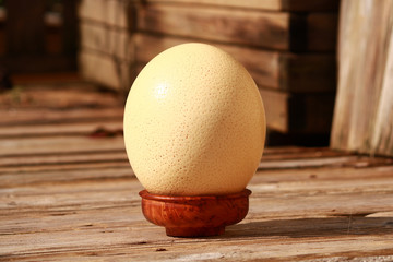Oyster egg on wooden floor outside. Nutritional Source of protein