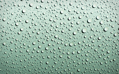Raindrops
