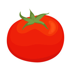 Vector design of tomato and red sign. Collection of tomato and vegan stock vector illustration.