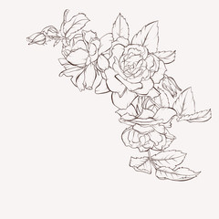 Vector rose flower. Element for design. Hand-drawn contour lines and strokes. Perfect corner for background greeting cards and invitations of the wedding, birthday, Valentine's Day, Mother's Day.