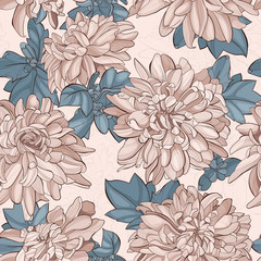 Seamless pattern chrysanthemum flowers. Vector illustration