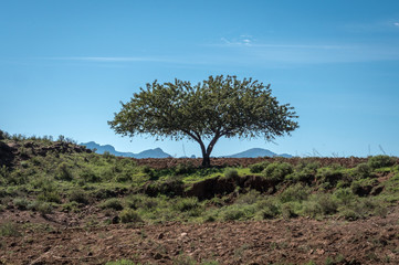 Die Drakensberge in Südafrika und Lesotho