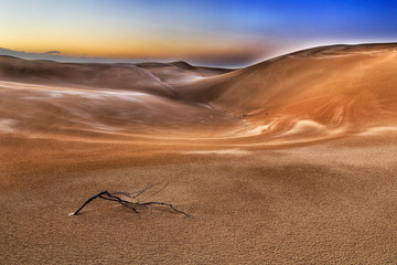 Dunes dead branch dark rise