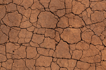 Cracks in a dry soil