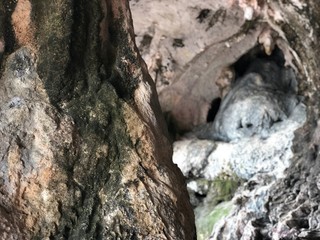 mysterious view from inside the unique hanging cliffs of Thailand island on a clear day
