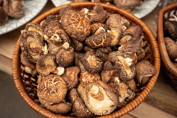 Basket of freshly harvested shiitake mushrooms