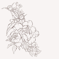 Vector peony flower isolated on white background. Element for design. Hand-drawn contour lines and strokes. - obrazy, fototapety, plakaty