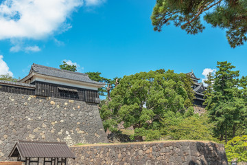 Fototapeta na wymiar 国宝松江城の風景