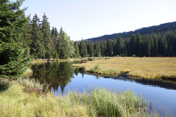 Fototapeta na wymiar Kleiner Arbersee / Kleiner Arbersee /