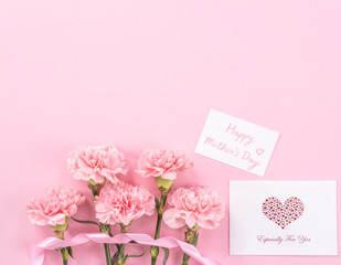 Top view, flay lay, copy space, close up, mock up, mothers day thanks design concept. Beautiful fresh blooming baby pink color carnations isolated on bright pink background