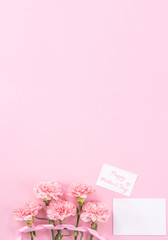 Top view, flay lay, copy space, close up, mock up, mothers day thanks design concept. Beautiful fresh blooming baby pink color carnations isolated on bright pink background