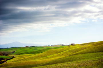 Tuscan hill with row of cypress trees and farmhouse ruin at sunset. Tuscan landscape. Italy