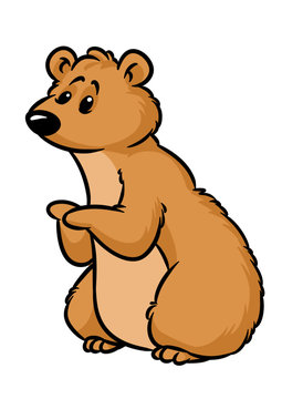 Brown bear animal character cartoon illustration isolated image 