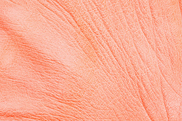 Coral color leather texture background