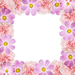 Beautiful floral background of kosmeya and carnations. Isolated