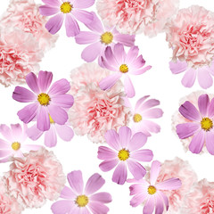 Beautiful floral background of kosmeya and carnations. Isolated