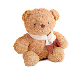 toy teddy bear isolated on white