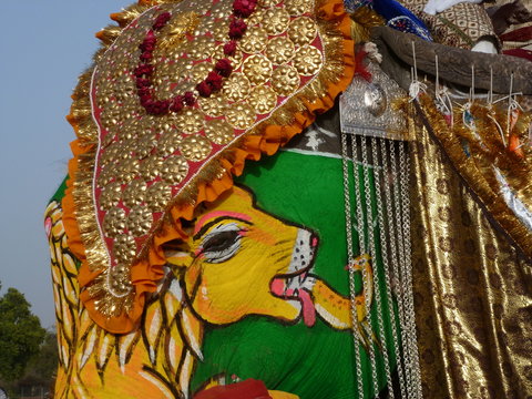 festival jaipur