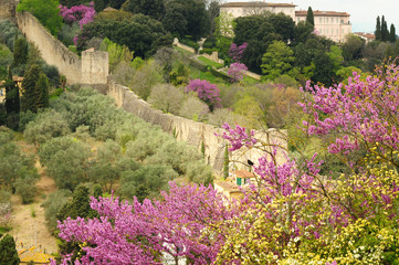 A view of the walls of the Forte di Belvedere in Florence in Italy, taken from Piazzale...