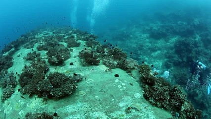 Underwater shipwreck and group of divers on sunken ship covered in coral on Pacific Ocean seabed in Fiji.
