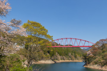 春の蜂の巣湖と鉄橋　大分県日田市