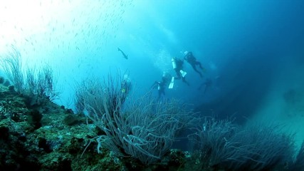 Group of divers swims near ship wreck underwater. Sunken ship covered in coral on Pacific Ocean seabed in Fiji.