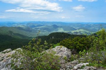 Fototapeta na wymiar mountain landscape in the romanian carpathians