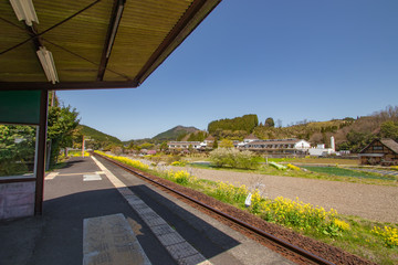 引治駅のホームと菜の花　station and canola flower 大分県