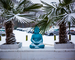 buddha in winter