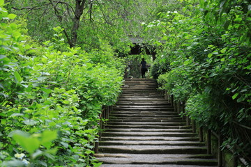 Obraz premium Świeży zielony krajobraz