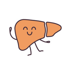 Smiling liver character color icon