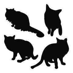 Black cat silhouette on white background