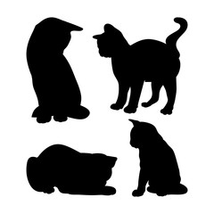 Black cat silhouette on white background