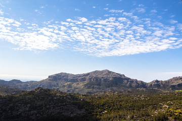 Fototapeta premium Near the Lluc Monastery on Mallorca