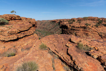 Fototapeta na wymiar Kings canyon landscape with red sandstone domes during the Rim walk in outback Australia