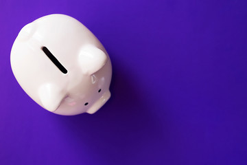 Pink piggy bank on violet background.