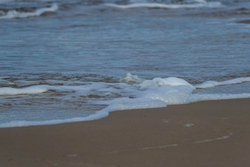 Usedom baltic sea nature outdoor